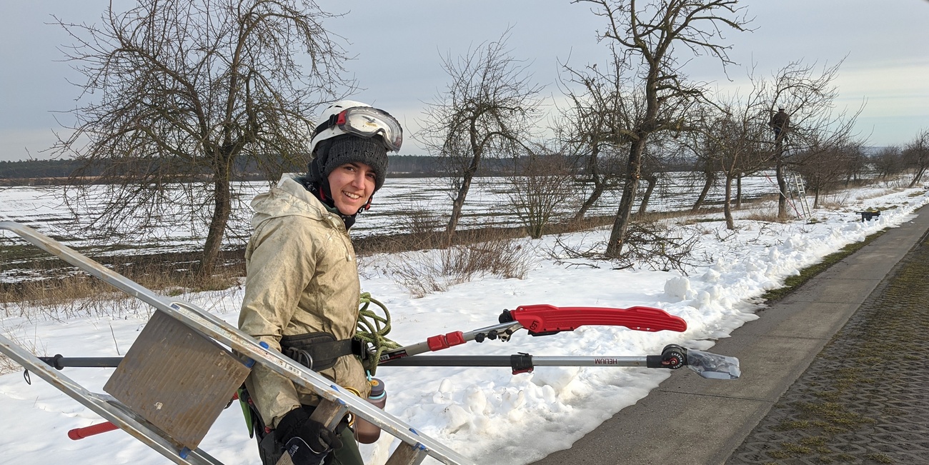 Hambergstraße Samswegen