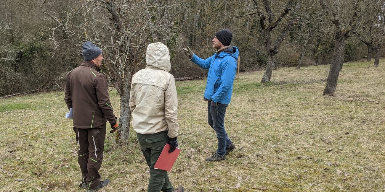 Planung und spezifische Beratung