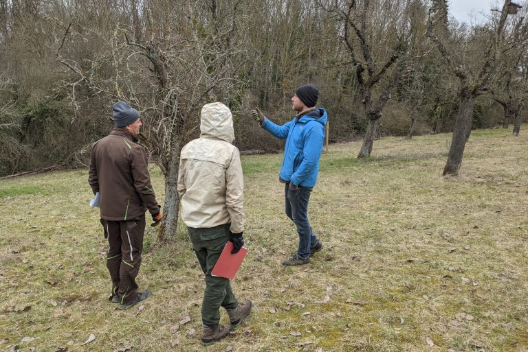 Planung und spezifische Beratung